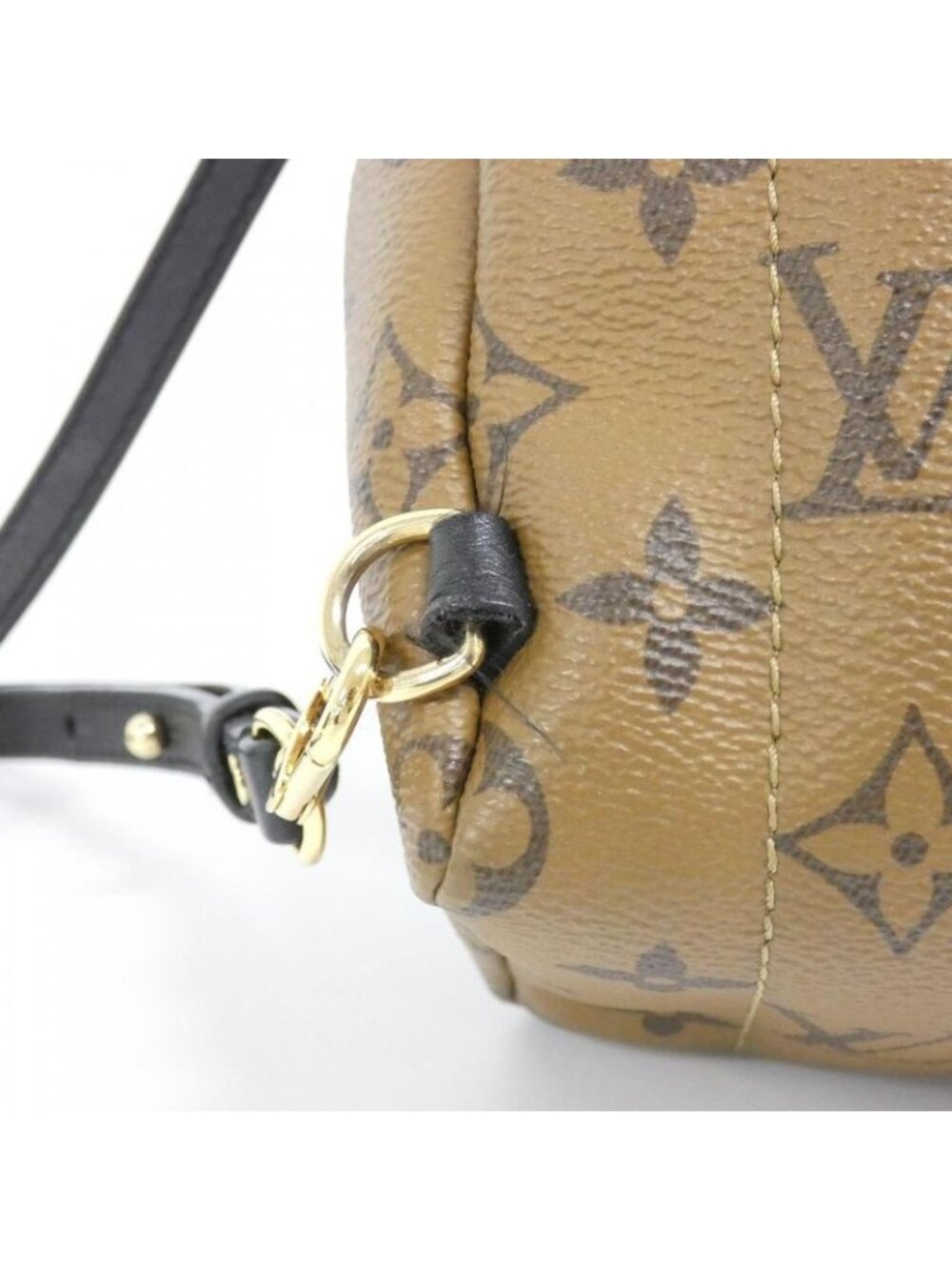 Louis Vuitton Monogram Reverse Palm Spring Backpack Mini Sac - Picture 7 of 10